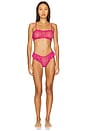 view 4 of 4 Joey Bralette in Wild Rose