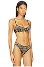 view 2 of 4 Underwire Bra in Leopard
