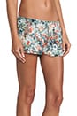 view 2 of 4 Sleep Shorts in Coral Reef