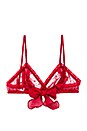 view 2 of 2 Coucou Lola Bralette in Ruby