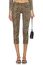 view 1 of 6 Capri Pants in Leopard
