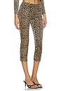 view 2 of 6 Capri Pants in Leopard