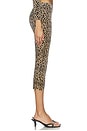 view 3 of 6 Capri Pants in Leopard