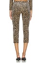 view 4 of 6 Capri Pants in Leopard