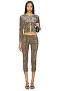 view 5 of 6 Capri Pants in Leopard