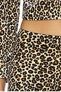 view 6 of 6 Capri Pants in Leopard