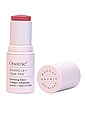 view 1 of 2 Boosting Lip + Cheek Stick in Caria