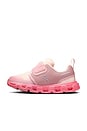 view 5 of 6 SNEAKERS CLOUD DASH in Zephyr & Camellia