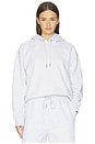 view 1 of 4 Club Collective Hoodie in Crater