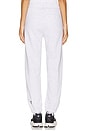 view 4 of 6 Club Pant in Crater