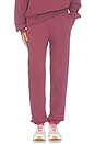 view 1 of 7 Club Pants in Barberry