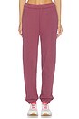 view 2 of 7 Club Pants in Barberry