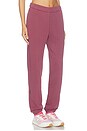 view 4 of 7 Club Pants in Barberry
