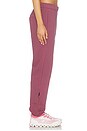 view 5 of 7 Club Pants in Barberry