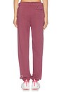 view 6 of 7 Club Pants in Barberry