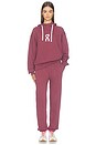 view 7 of 7 Club Pants in Barberry