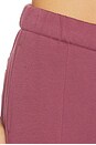 view 8 of 7 Club Pants in Barberry