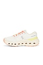 view 5 of 6 SNEAKERS CLOUDRUNNER 3 in Ivory & Dew
