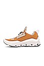 view 5 of 6 Cloudaway Sneaker in Almond & Glacier