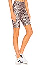 view 2 of 4 High Rise Bike Short in Leopard