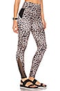view 2 of 4 Shaper Leggings in Leopard