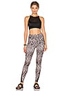 view 4 of 4 Shaper Leggings in Leopard