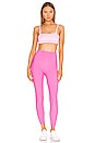 view 4 of 4 레깅스 in Ibis Rose
