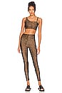 view 4 of 4 High Rise Legging in Pythoness