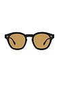 view 1 of 3 Boudreau L.A Sunglasses in Black & Cognac