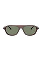 view 1 of 2 GAFAS DE SOL ESTIN in Morado Tortoise