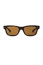 view 1 of 3 Rosson Sunglasses in Brown