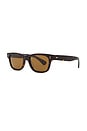 view 2 of 3 Rosson Sunglasses in Brown