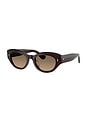 view 2 of 3 Lerrue Oval Sunglasses in Black