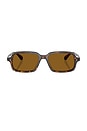 view 1 of 4 Rectangular Sunglasses in Brown