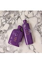 view 10 of 10 Serene Scalp Densifying Conditioner in 