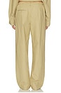 view 6 of 7 PANTALON THE WORKWEAR in Tan & Black Plaid