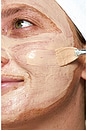 view 5 of 5 Red Algae Clarifying Mask in 