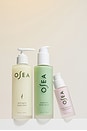 view 3 of 6 Firm & Hydrate Body Trio in 