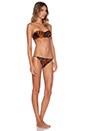 view 2 of 6 California Leaves Mesh Bikini Set in Orange & Black