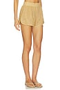 view 2 of 6 Lumiere Shorts in Gold