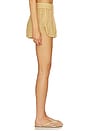 view 3 of 6 Lumiere Shorts in Gold
