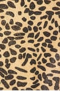 view 4 of 4 Animalier Sporty Maillot One Piece in Leopard