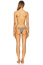 view 3 of 5 Animalier Two Piece Bikini Set in Leopard