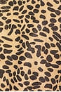 view 5 of 5 Animalier Two Piece Bikini Set in Leopard