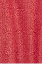 view 5 of 5 CONJUNTO BIKINI LUMIERE in Coral