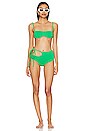 view 5 of 5 Curvy Bikini Top in Emerald Green