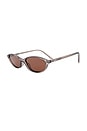view 2 of 2 Hazel Sunglasses in Transparent Olive & Brown