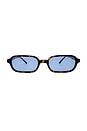 view 1 of 2 Frankie Sunglasses in Tortoise Shell