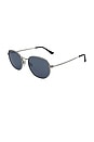 view 2 of 2 Bowie Sunglasses in Silver & Smoke