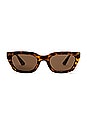 view 1 of 3 Nove Sunglasses in Tort & Brown